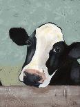 Holstein Cow II-Jade Reynolds-Art Print