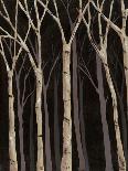 Midnight Birches II-Jade Reynolds-Art Print