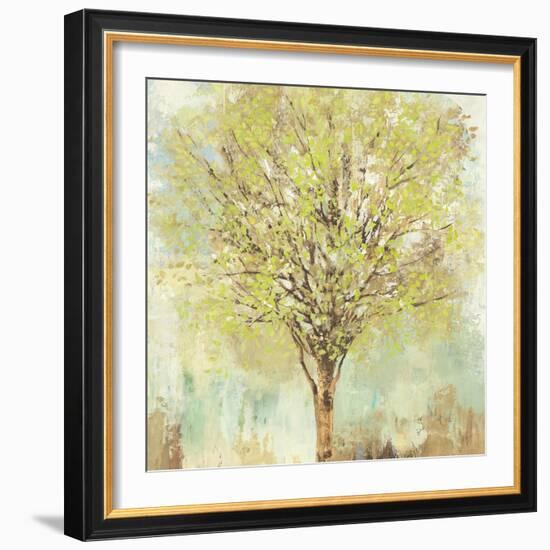 Jade Tree-Allison Pearce-Framed Art Print