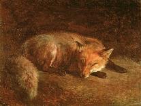 Sleeping Fox-Jafunda and Abraham Cresques-Framed Giclee Print