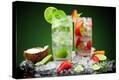 Stretched Canvas Print