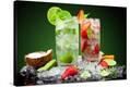 Stretched Canvas Print