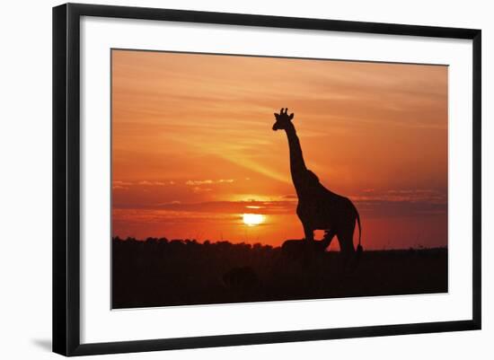 Photographic Print, , large