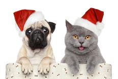 Dog And Cat In Red Christmas Hat-Jagodka-Photographic Print