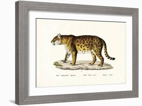 Jaguar, 1824-Karl Joseph Brodtmann-Framed Giclee Print