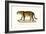 Jaguar, 1824-Karl Joseph Brodtmann-Framed Giclee Print