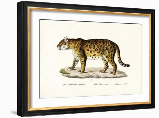 Jaguar, 1824-Karl Joseph Brodtmann-Framed Giclee Print