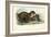 Jaguar, 1863-79-Raimundo Petraroja-Framed Giclee Print