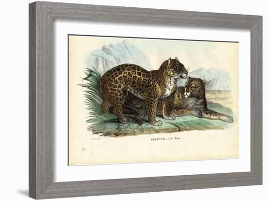 Jaguar, 1863-79-Raimundo Petraroja-Framed Giclee Print