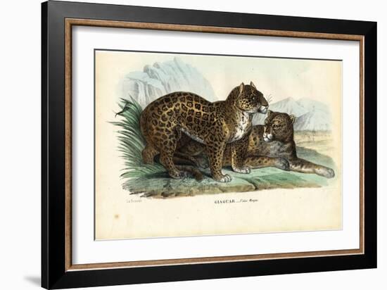 Jaguar, 1863-79-Raimundo Petraroja-Framed Giclee Print