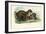 Jaguar, 1863-79-Raimundo Petraroja-Framed Giclee Print