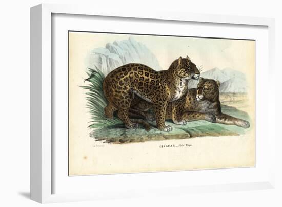 Jaguar, 1863-79-Raimundo Petraroja-Framed Giclee Print