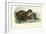 Jaguar, 1863-79-Raimundo Petraroja-Framed Giclee Print