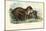 Jaguar, 1863-79-Raimundo Petraroja-Mounted Giclee Print