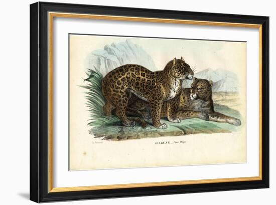 Jaguar, 1863-79-Raimundo Petraroja-Framed Giclee Print