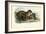 Jaguar, 1863-79-Raimundo Petraroja-Framed Giclee Print