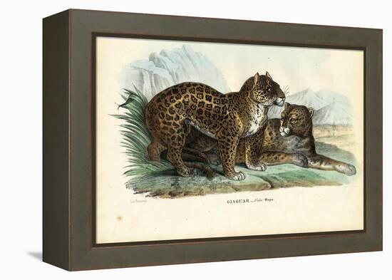 Jaguar, 1863-79-Raimundo Petraroja-Framed Premier Image Canvas