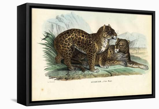Jaguar, 1863-79-Raimundo Petraroja-Framed Premier Image Canvas