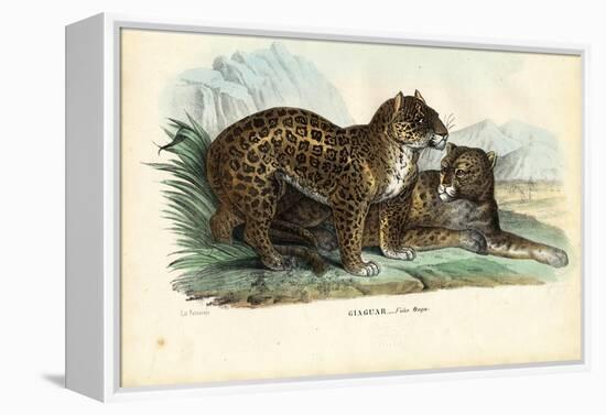 Jaguar, 1863-79-Raimundo Petraroja-Framed Premier Image Canvas