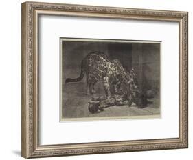 Jaguar and Cubs at the Jardin Des Plantes-Auguste Andre Lancon-Framed Giclee Print
