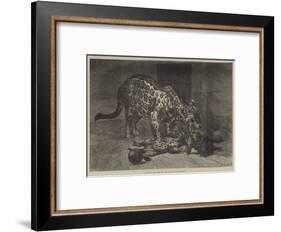 Jaguar and Cubs at the Jardin Des Plantes-Auguste Andre Lancon-Framed Giclee Print