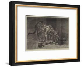 Jaguar and Cubs at the Jardin Des Plantes-Auguste Andre Lancon-Framed Giclee Print