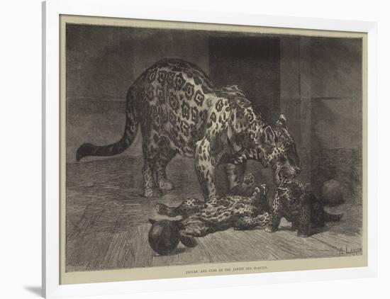 Jaguar and Cubs at the Jardin Des Plantes-Auguste Andre Lancon-Framed Premium Giclee Print