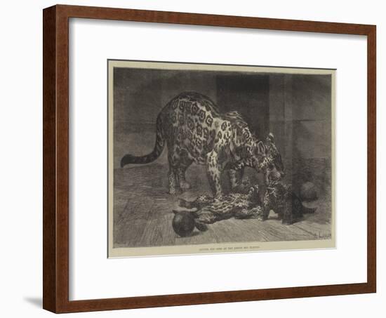 Jaguar and Cubs at the Jardin Des Plantes-Auguste Andre Lancon-Framed Premium Giclee Print