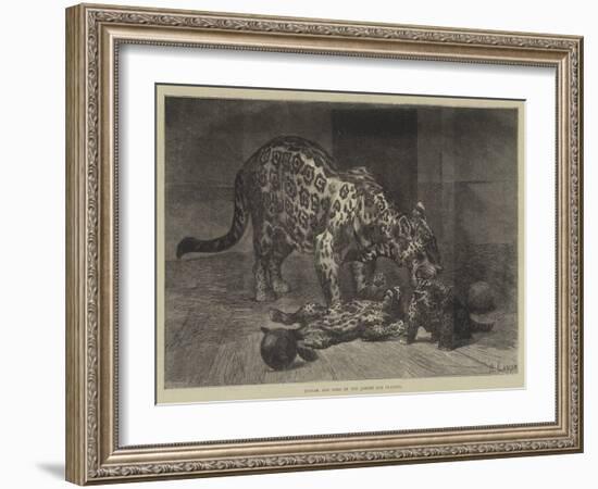 Jaguar and Cubs at the Jardin Des Plantes-Auguste Andre Lancon-Framed Giclee Print