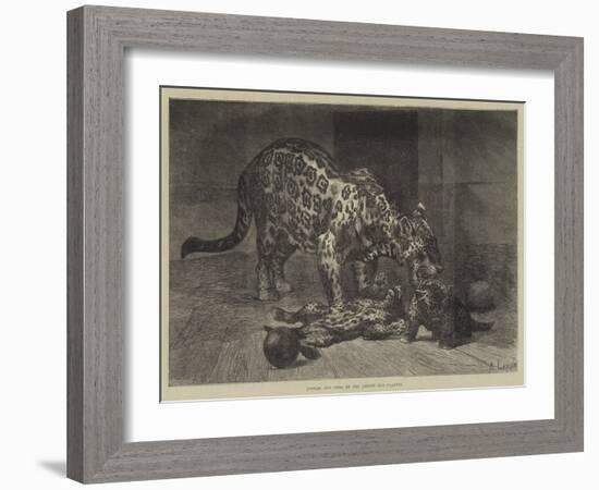 Jaguar and Cubs at the Jardin Des Plantes-Auguste Andre Lancon-Framed Giclee Print