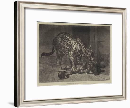 Jaguar and Cubs at the Jardin Des Plantes-Auguste Andre Lancon-Framed Giclee Print