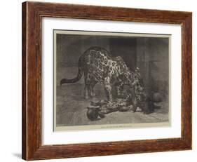 Jaguar and Cubs at the Jardin Des Plantes-Auguste Andre Lancon-Framed Giclee Print
