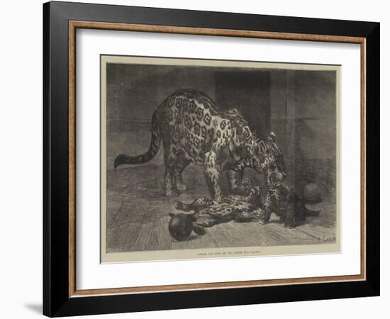 Jaguar and Cubs at the Jardin Des Plantes-Auguste Andre Lancon-Framed Giclee Print