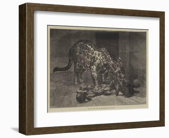 Jaguar and Cubs at the Jardin Des Plantes-Auguste Andre Lancon-Framed Giclee Print