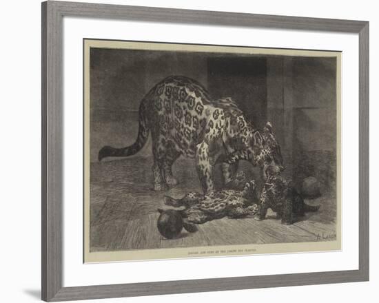 Jaguar and Cubs at the Jardin Des Plantes-Auguste Andre Lancon-Framed Giclee Print