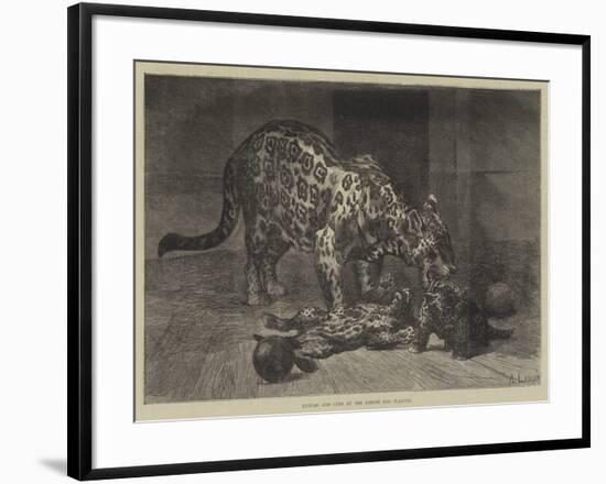 Jaguar and Cubs at the Jardin Des Plantes-Auguste Andre Lancon-Framed Giclee Print