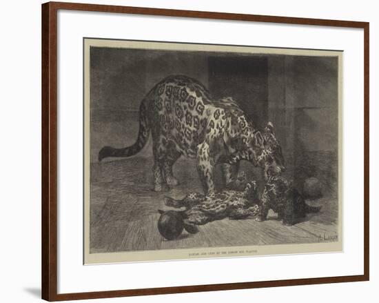 Jaguar and Cubs at the Jardin Des Plantes-Auguste Andre Lancon-Framed Giclee Print