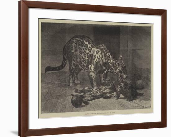 Jaguar and Cubs at the Jardin Des Plantes-Auguste Andre Lancon-Framed Giclee Print