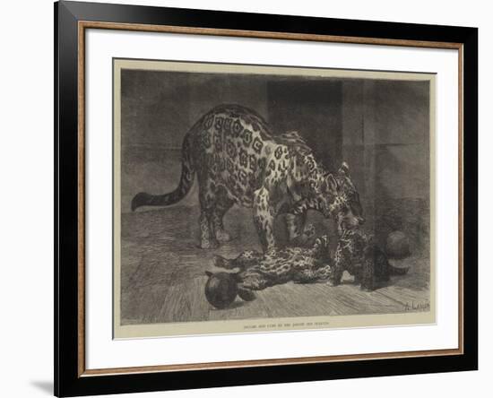 Jaguar and Cubs at the Jardin Des Plantes-Auguste Andre Lancon-Framed Giclee Print