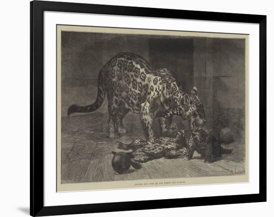 Jaguar and Cubs at the Jardin Des Plantes-Auguste Andre Lancon-Framed Giclee Print