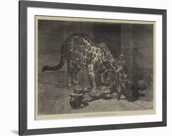Jaguar and Cubs at the Jardin Des Plantes-Auguste Andre Lancon-Framed Giclee Print