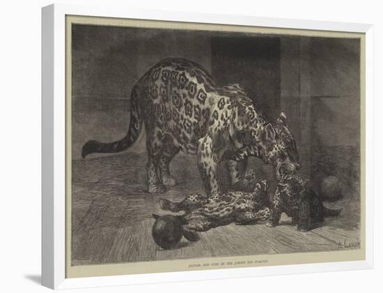 Jaguar and Cubs at the Jardin Des Plantes-Auguste Andre Lancon-Framed Giclee Print