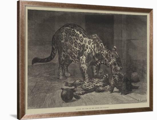 Jaguar and Cubs at the Jardin Des Plantes-Auguste Andre Lancon-Framed Giclee Print