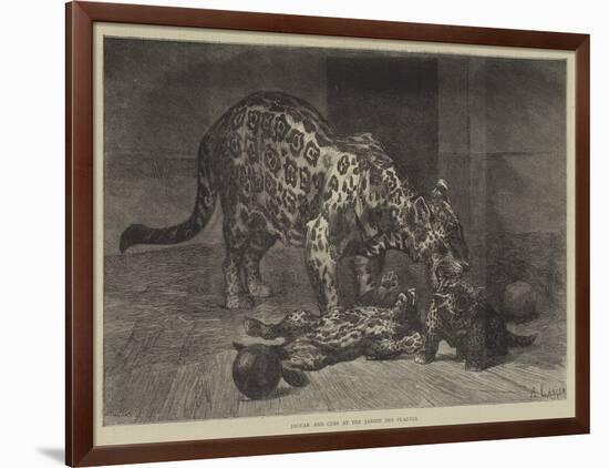 Jaguar and Cubs at the Jardin Des Plantes-Auguste Andre Lancon-Framed Giclee Print