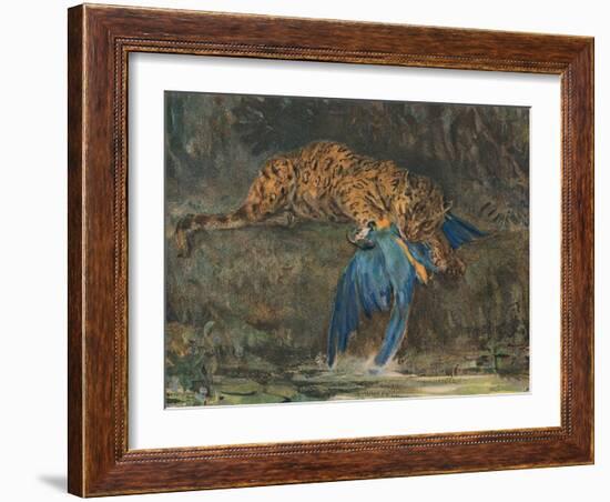 'Jaguar and Macaw', late 19th century-John MacAllan Swan-Framed Giclee Print