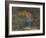 'Jaguar and Macaw', late 19th century-John MacAllan Swan-Framed Giclee Print