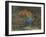 'Jaguar and Macaw', late 19th century-John MacAllan Swan-Framed Giclee Print