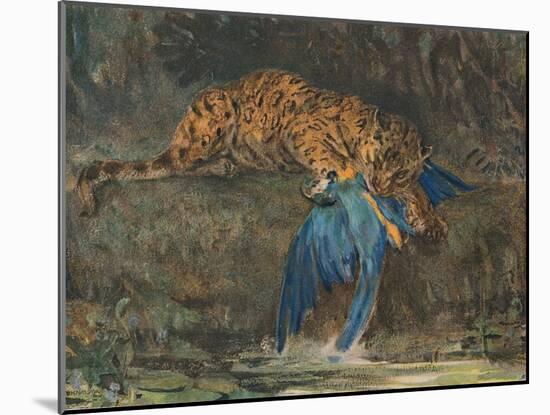 'Jaguar and Macaw', late 19th century-John MacAllan Swan-Mounted Giclee Print