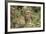 Jaguar, Belize. Captive Animal-Lynn M. Stone-Framed Photographic Print