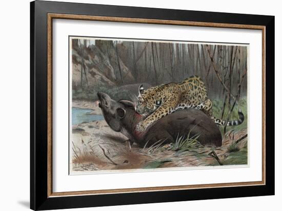 Jaguar by Alfred Edmund Brehm-Stefano Bianchetti-Framed Giclee Print